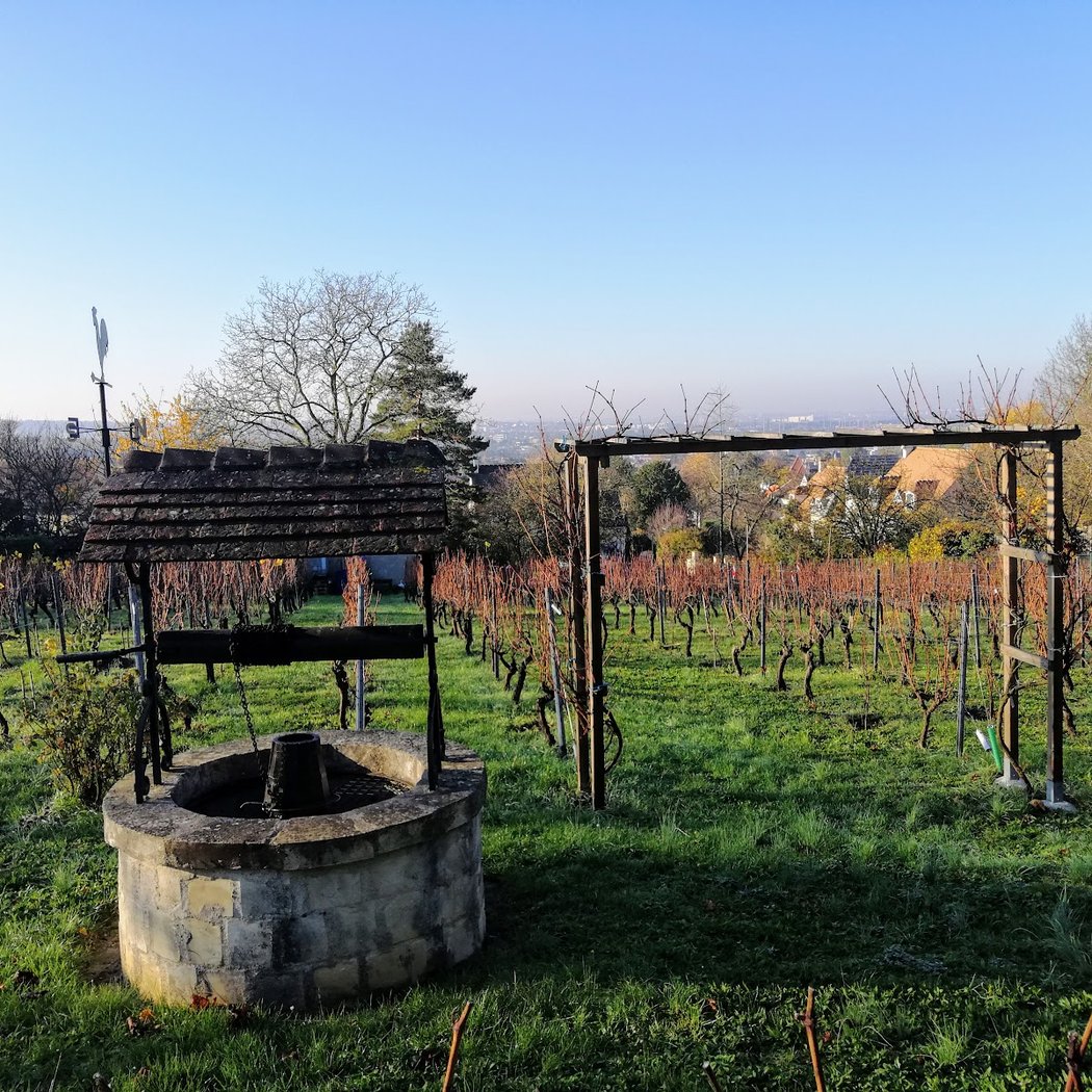 Senteurs Garden 1